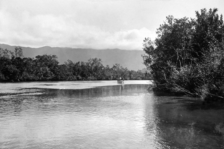 Queensland_State_Archives_1277_Russell_River_via_Deeral_near_Cairns_c_1935