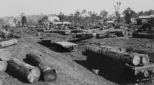 512px-StateLibQld_2_293691_Lumber_yards_at_a_Ravenshoe_sawmill,_1934