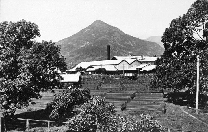 Mulgrave_Central_Sugar_Mill,_Gordonvale_-_Pyramid_Mountain_in_the_background,_near_Cairns,_circa_1935
