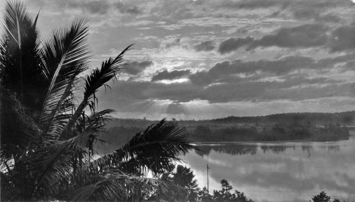 Queensland_State_Archives_860_Sunrise_Johnstone_River_Innisfail_North_Queensland_c_1927